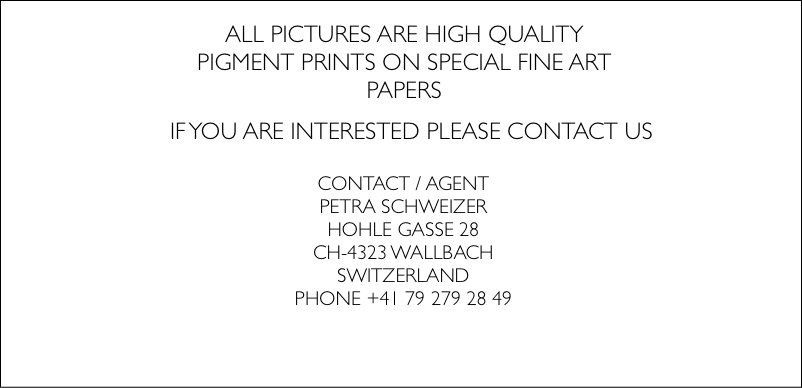 MF-PHOTODESIGN